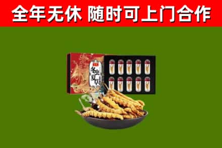炉霍回收冬虫夏草价格