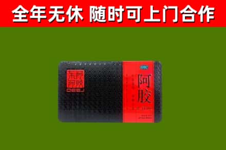炉霍回收阿胶