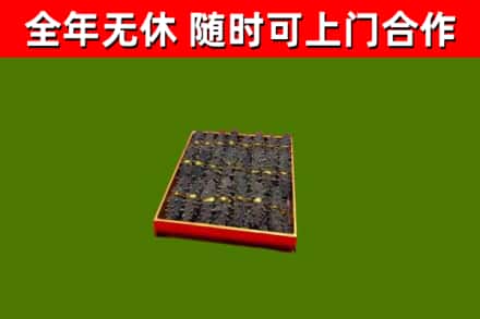 炉霍回收海参